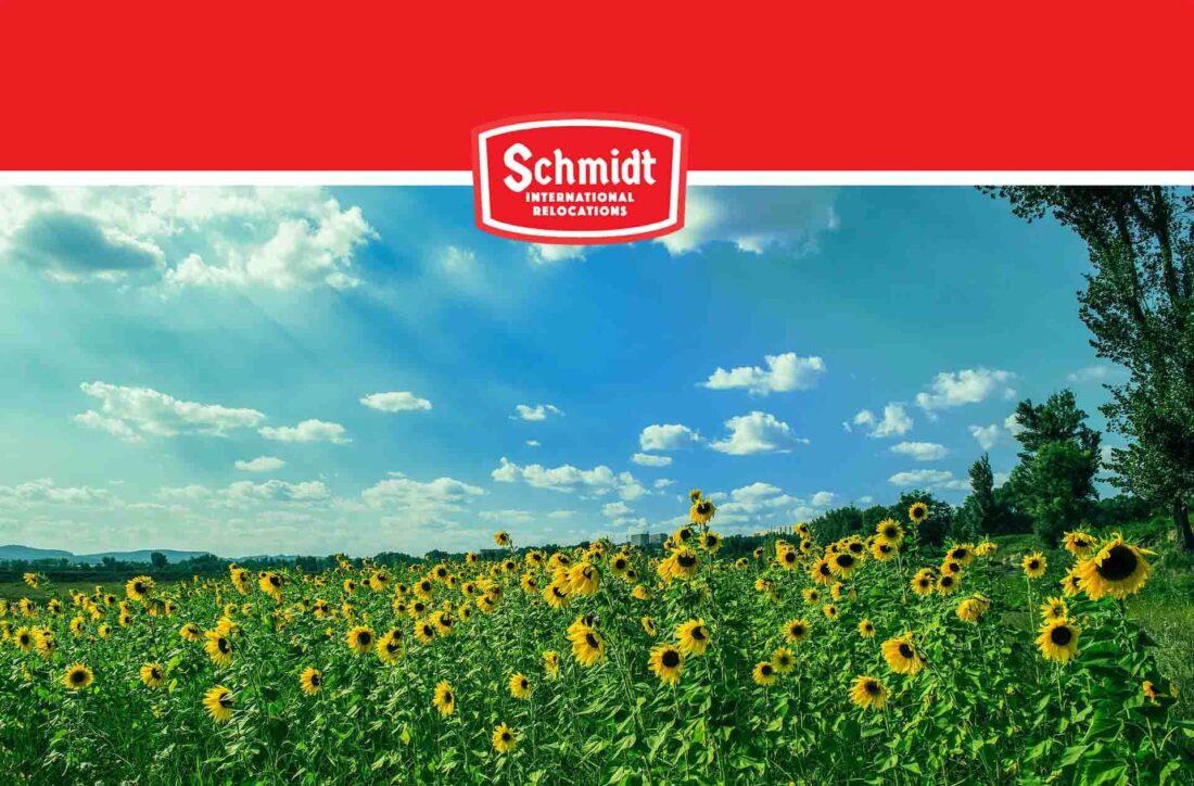 Sunflower field under a sunny blue sky Schmidt International Relocations logo
