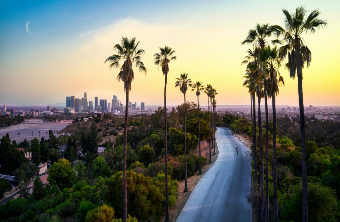 Green palm trees lining a road with the Los Angeles skyline in the background.