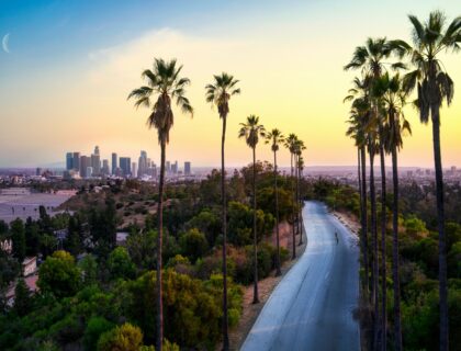 Green palm trees lining a road with the Los Angeles skyline in the background.